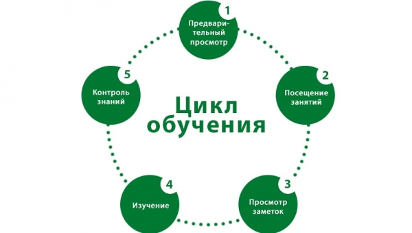 Цикл обучения - как учиться эффективно