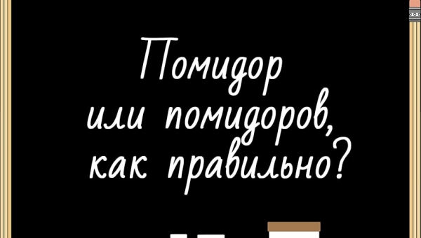Помидор или помидоров, как правильно?